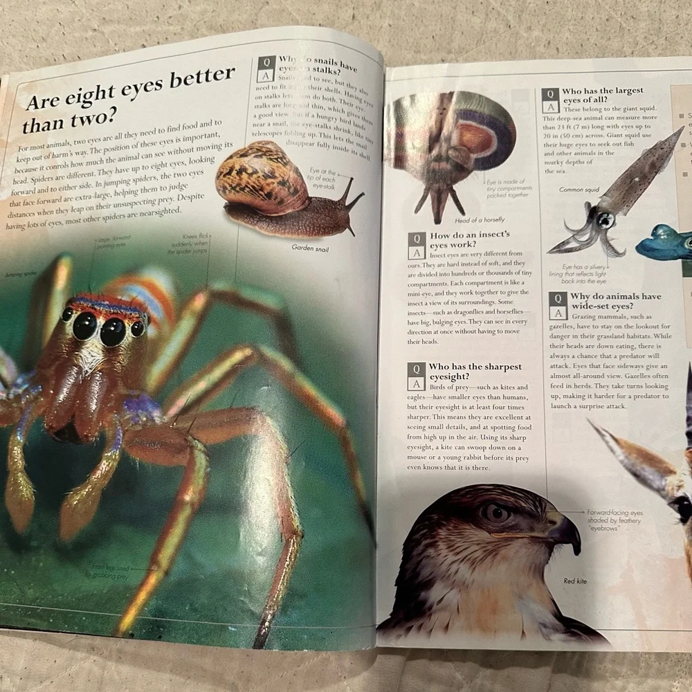 Amazing Animals Q&A- everything you never knew about the animal kingdom - Picture 4 of 10